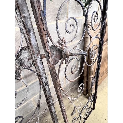 113 - A pair of vintage French wrought iron gates, width 110cm, height 250cm