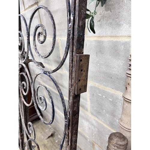 113 - A pair of vintage French wrought iron gates, width 110cm, height 250cm