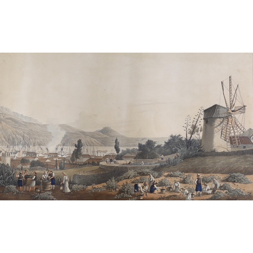 660 - Havell after Cartwright (1789-1929), hand coloured aquatint, Town and harbour of Argostoli, (Cephall... 