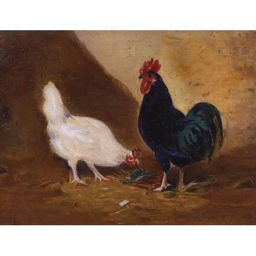 667 - English School, early 20th century, a pair of oils on board, hens, 15 x 20.5cm