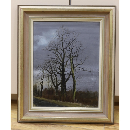 671 - Peter Newcombe, oil on board, Study of trees on the roadside, signed and dated 1970, 28 x 21.5 cm... 