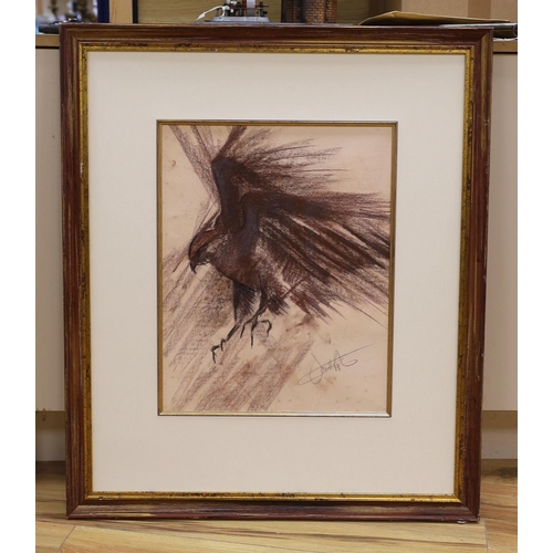 687 - Late 20th century, pastel sketch of a falcon, indistinctly signed, 49.5 x 39 cm