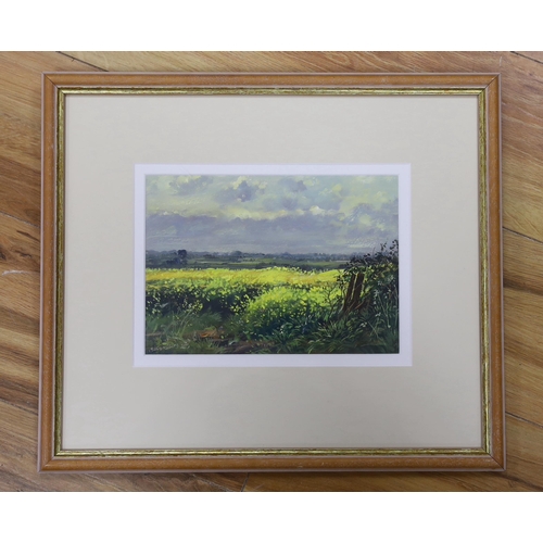 696 - Edward Stamp, RI, acrylic  'Yellow Field', signed and dated 2010, 16.5 x 23 cm