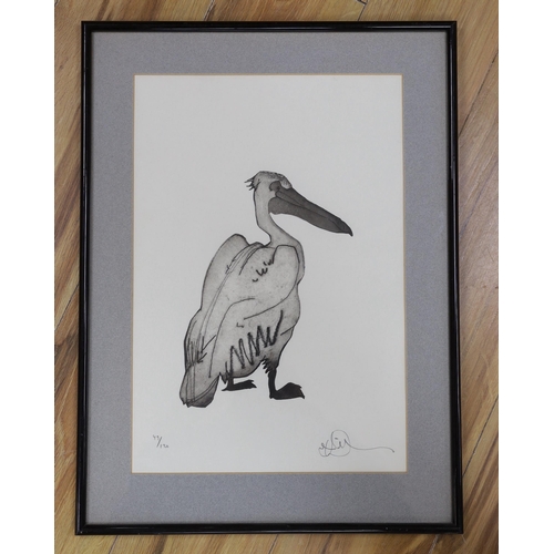 712 - Modern British, limited edition etching and aquatint, Study of a pelican, signed, 49/120, 44 x 30cm... 