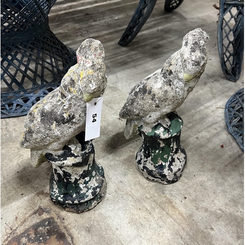 Lot 54        