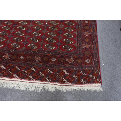 1175 - A Bokhara carpet, 290 x 202cm