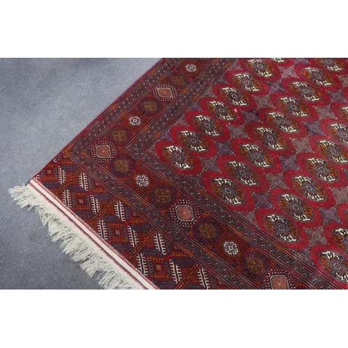 1175 - A Bokhara carpet, 290 x 202cm