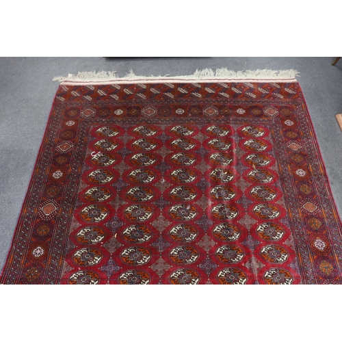 1175 - A Bokhara carpet, 290 x 202cm