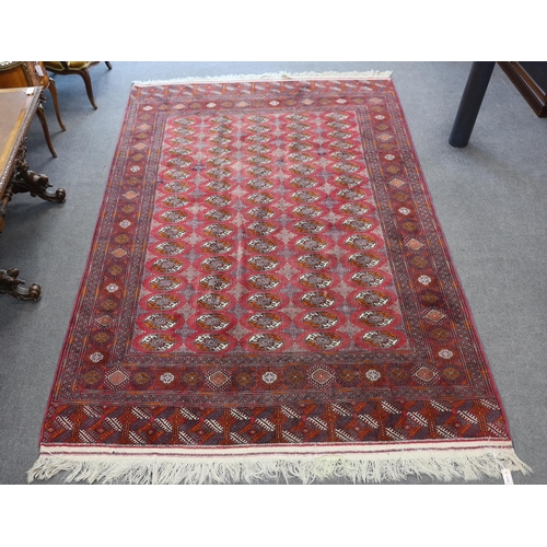 1175 - A Bokhara carpet, 290 x 202cm