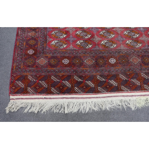 1175 - A Bokhara carpet, 290 x 202cm