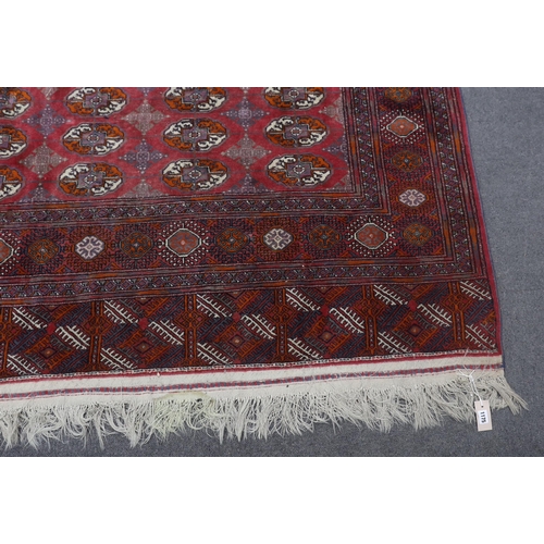 1175 - A Bokhara carpet, 290 x 202cm