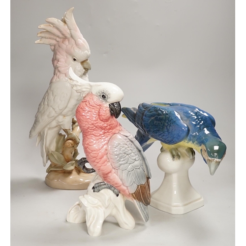 1356 - Two Royal Dux parrots and a Beswick parrot, the largest 40cm high