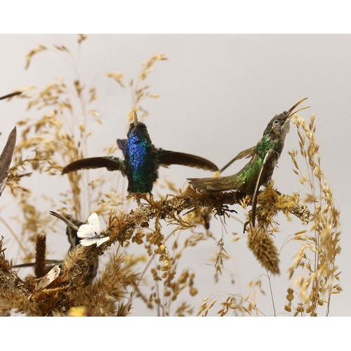 1383 - A Victorian taxidermic hummingbird group housed under a glass dome, 40cm high