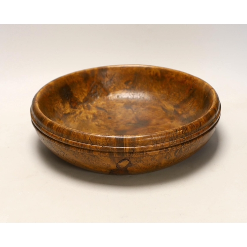 1507 - A large turned burr walnut bowl, 32cm diameter