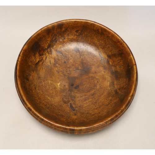 1507 - A large turned burr walnut bowl, 32cm diameter