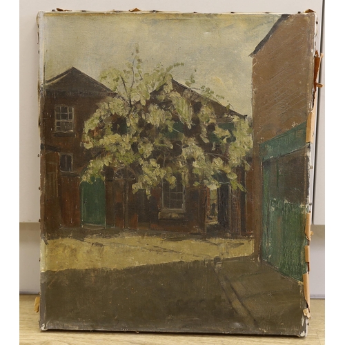 1656 - 20th century English School, oil on canvas, Tree before buildings, possibly Camberwell or Euston Roa... 