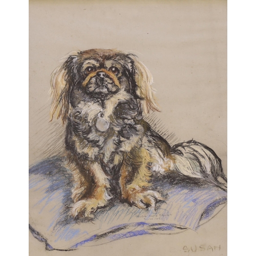 1714 - Truda Hope Panet, mid 20th century pastel, Portrait of a dog 'Susan', signed and dated, 50 x 40cm... 