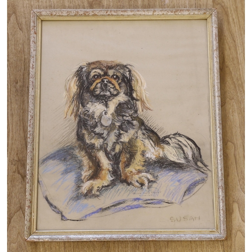 1714 - Truda Hope Panet, mid 20th century pastel, Portrait of a dog 'Susan', signed and dated, 50 x 40cm... 