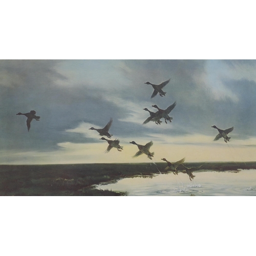 1728 - Peter Markham Scott (1909-1989) two colour chromolithographs, Birds in flight, publ. Arthur Ackerman... 