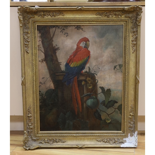 1739 - F.W. Baldry, 20th century oil on canvas, Study of a macaw, signed and dated 1925, 62 x 49cm