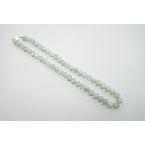 1906 - A single strand jadeite bead necklace, with 18k clasp, 43cm, gross weight 58.7 grams, with accompany... 