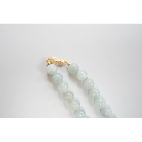 1906 - A single strand jadeite bead necklace, with 18k clasp, 43cm, gross weight 58.7 grams, with accompany... 