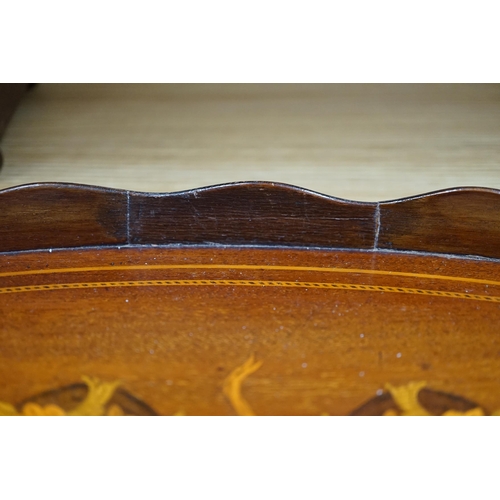 277 - An Edwardian marquetry inlaid oval mahogany two handled tea tray, 63cm