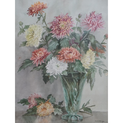 684 - Mabel F Dottridge, watercolour, Still life of chrysanthemums, signed, James Bourlet and Royal Instit... 