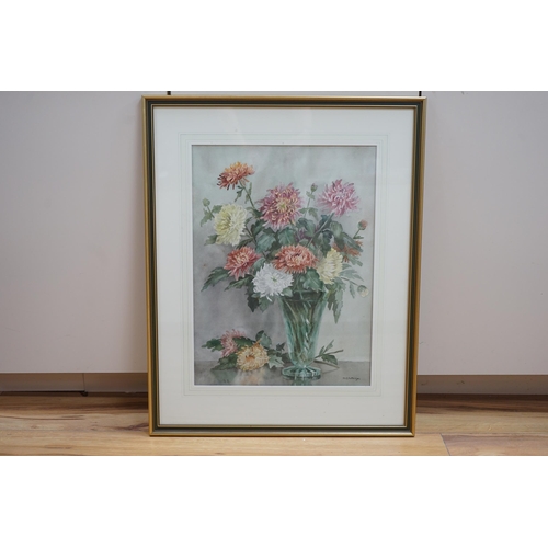 684 - Mabel F Dottridge, watercolour, Still life of chrysanthemums, signed, James Bourlet and Royal Instit... 