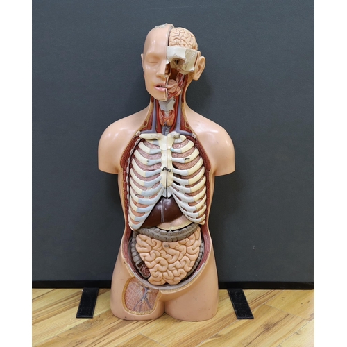 282 - A 1960s medical school educational plastic anatomical model, with removable internal organs and cros... 