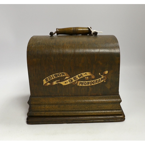 293 - A cased Edison Gem phonograph with horn, case 20cm high