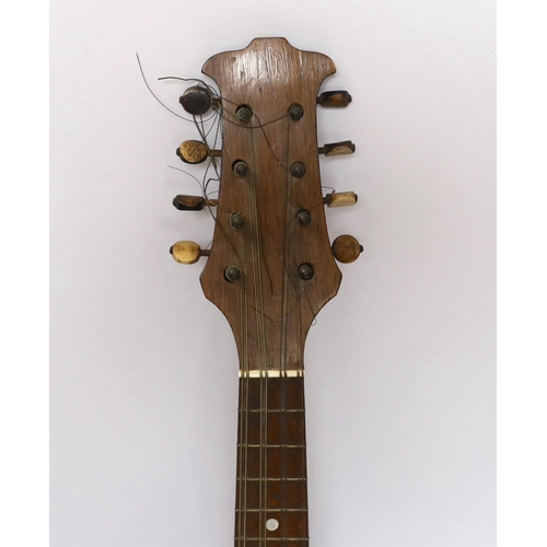 304 - A Fratelli Hasermann, Napoli, mandolin, early 20th century