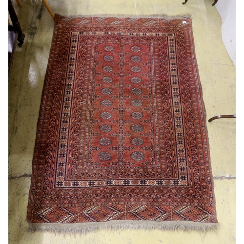 46 - A Bokhara red ground rug, 158 x 124cm