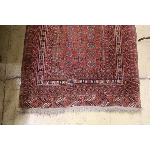 46 - A Bokhara red ground rug, 158 x 124cm