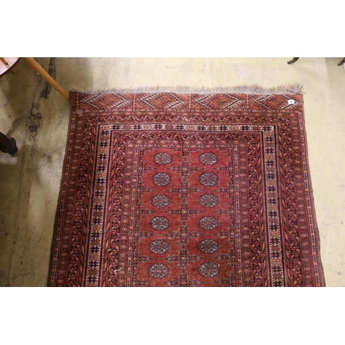 46 - A Bokhara red ground rug, 158 x 124cm