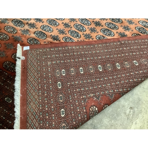 1065 - A Bokhara peach ground carpet, 364 x 275cm