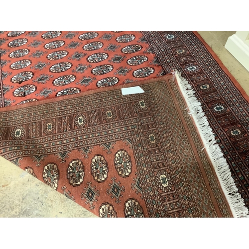 1088 - A Bokhara red ground rug, 240 x 155cm