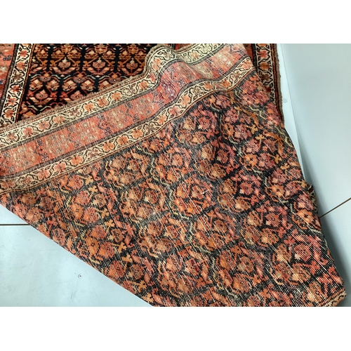 1115 - An Afshar blue ground runner woven with rows of floral devices, 354cm x 107cm