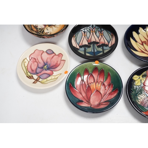 1323 - Seven Moorcroft floral dishes, two with Kerry Goodwin stamp to the base and a dormouse bowl designed... 