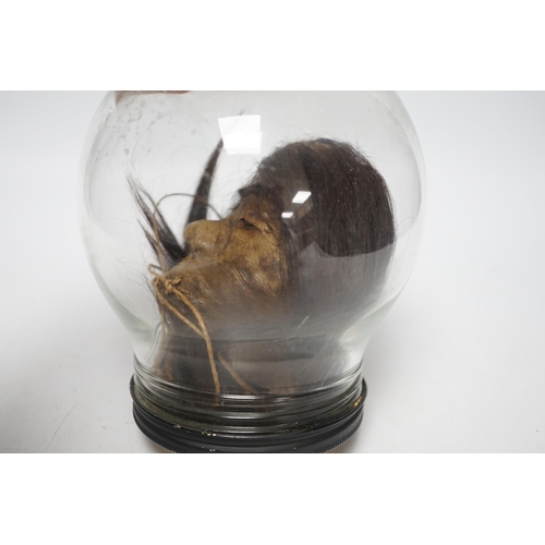 1391 - A copy of a shrunken head, in animal hide, mounted inside a glass dome on turned base, 18cm high... 