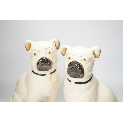 1426 - A pair of Staffordshire pug dogs, 28cm high