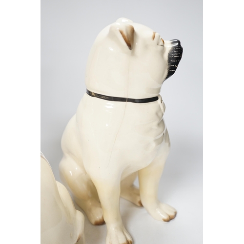 1426 - A pair of Staffordshire pug dogs, 28cm high