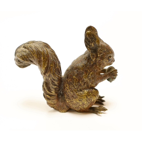 1541 - A large Austrian cold painted bronze of a squirrel eating a nut, 8cm high