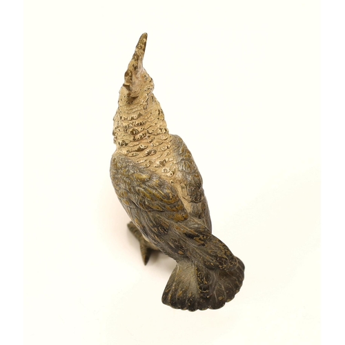 1542 - A large Austrian cold painted bronze model of a Cockatoo, 10cms high