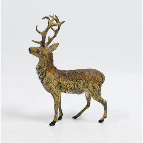 1552 - A large Austrian cold painted model of a Stag, 13cm high