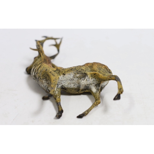 1552 - A large Austrian cold painted model of a Stag, 13cm high