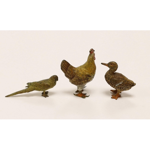 1553 - Three Austrian cold painted bronze models of a Duck, a Chicken and a Budgerigar, tallest 3.5cm... 