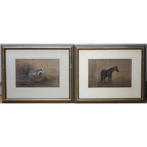 1682 - John Naylor (b.1960) pair of pastels, Studies of a badger and a horse, each signed and dated '89, 36... 