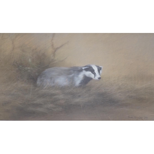 1682 - John Naylor (b.1960) pair of pastels, Studies of a badger and a horse, each signed and dated '89, 36... 