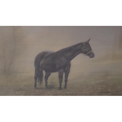 1682 - John Naylor (b.1960) pair of pastels, Studies of a badger and a horse, each signed and dated '89, 36... 